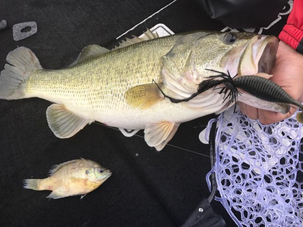 hideup 永野総一朗 ブログ写真 2017/06/22