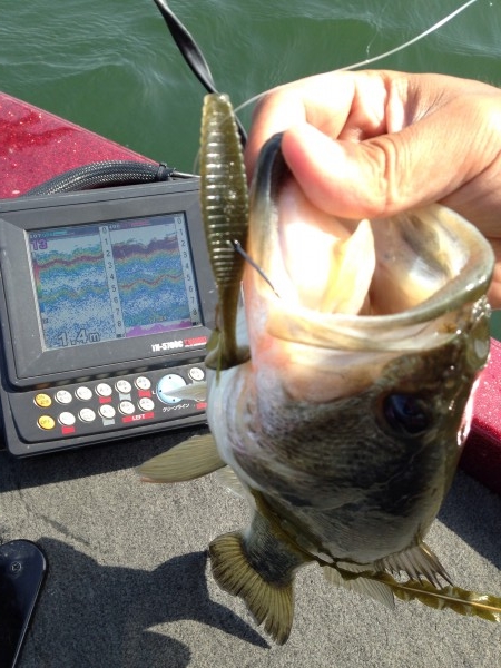 hideup 永野総一朗 ブログ写真 2014/05/13