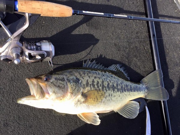 hideup 永野総一朗 ブログ写真 2016/04/05