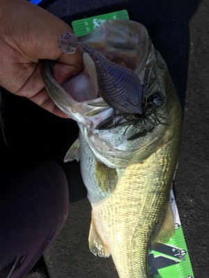 hideup 永野総一朗 ブログ写真 2017/06/24