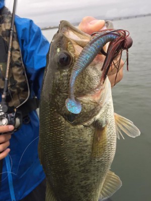 hideup 永野総一朗 ブログ写真 2016/10/03