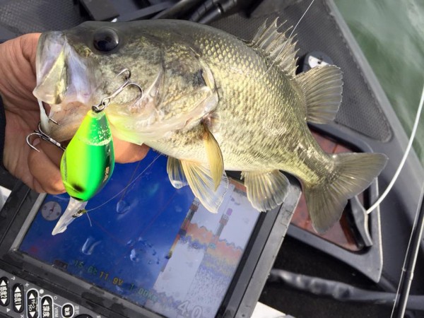 hideup 永野総一朗 ブログ写真 2016/04/11