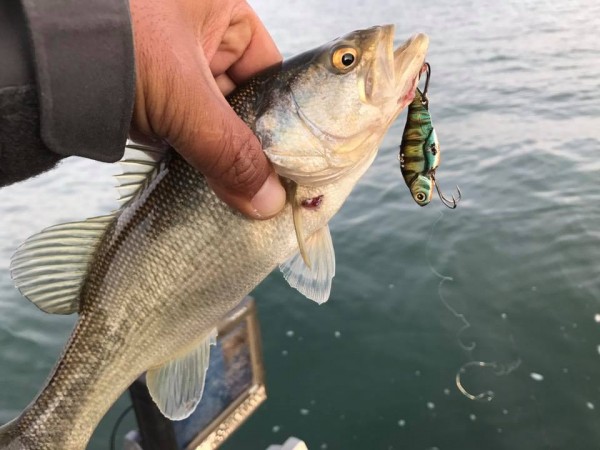 hideup 永野総一朗 ブログ写真 2017/11/27