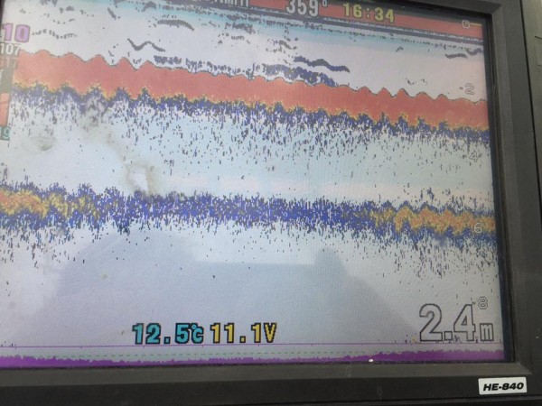 hideup 永野総一朗 ブログ写真 2017/04/03