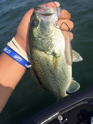 hideup 永野総一朗 ブログ写真 2016/06/20