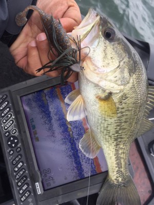 hideup 永野総一朗 ブログ写真 2017/04/10