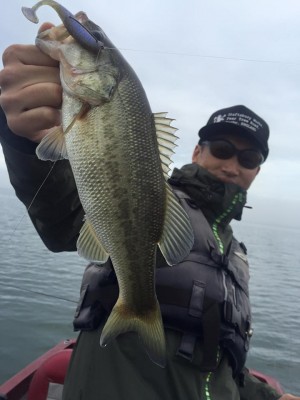 hideup 永野総一朗 ブログ写真 2015/11/18