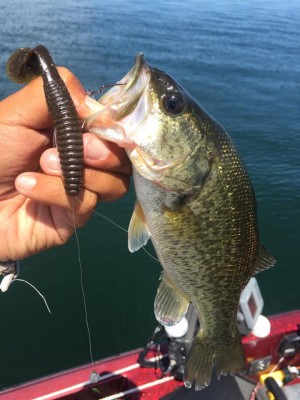 hideup 永野総一朗 ブログ写真 2015/08/24