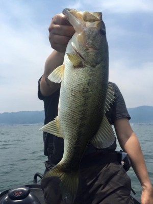 hideup 永野総一朗 ブログ写真 2016/05/25