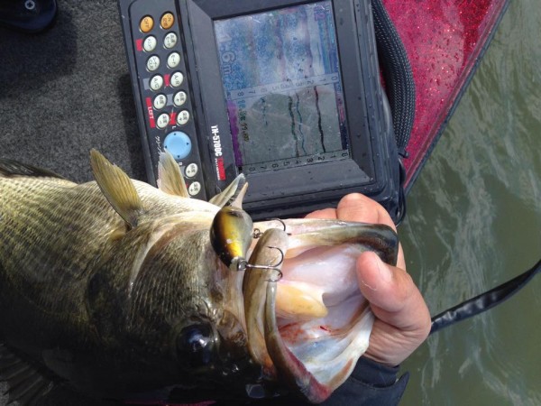 hideup 永野総一朗 ブログ写真 2015/03/24