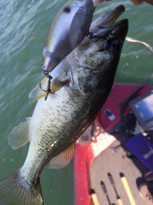 hideup 永野総一朗 ブログ写真 2015/10/12