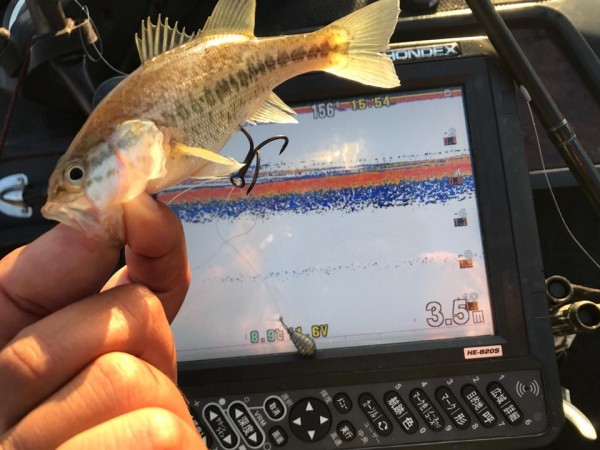 hideup 永野総一朗 ブログ写真 2017/12/12