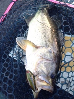 hideup 永野総一朗 ブログ写真 2015/03/19