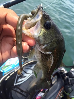 hideup 永野総一朗 ブログ写真 2016/08/19