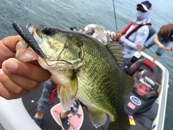 hideup 永野総一朗 ブログ写真 2016/07/20