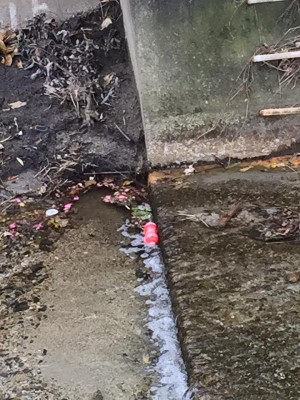 hideup 永野総一朗 ブログ写真 2015/12/30