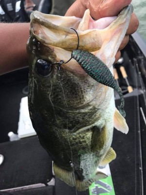 hideup 永野総一朗 ブログ写真 2017/08/06