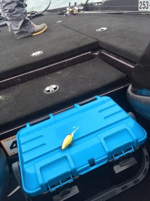 hideup 永野総一朗 ブログ写真 2016/01/18