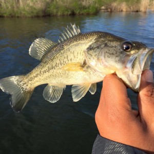 hideup 永野総一朗 ブログ写真 2016/04/05