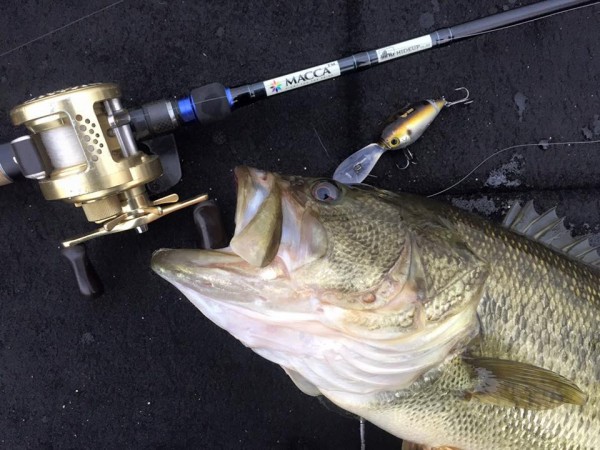 hideup 永野総一朗 ブログ写真 2016/01/24