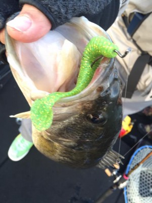 hideup 永野総一朗 ブログ写真 2017/04/01