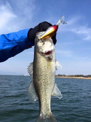 hideup 永野総一朗 ブログ写真 2016/04/01