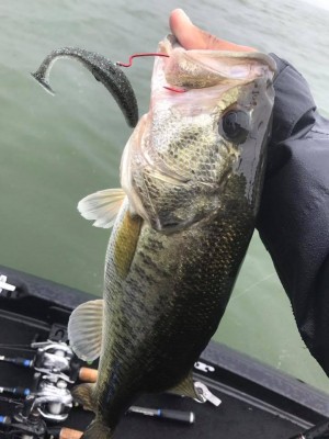 hideup 永野総一朗 ブログ写真 2017/06/22