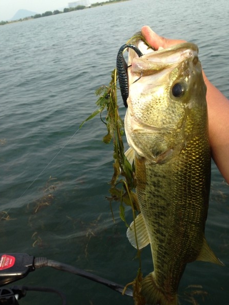 hideup 永野総一朗 ブログ写真 2014/07/03