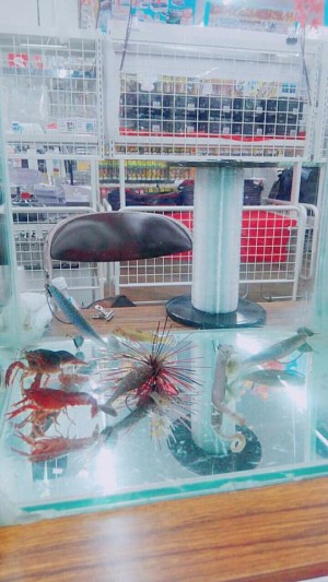 hideup 永野総一朗 ブログ写真 2017/10/07