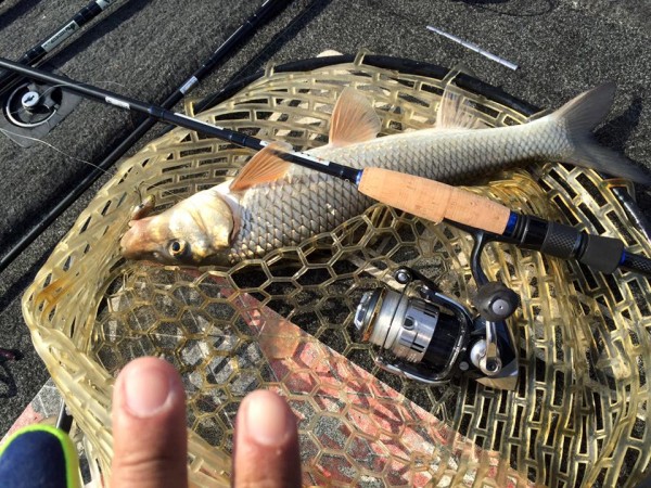 hideup 永野総一朗 ブログ写真 2015/12/26