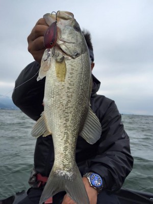 hideup 永野総一朗 ブログ写真 2016/05/09