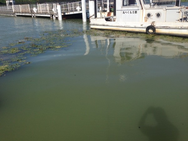 hideup 永野総一朗 ブログ写真 2013/09/18