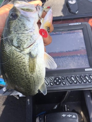 hideup 永野総一朗 ブログ写真 2016/10/19