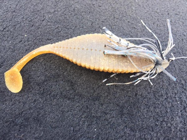 hideup 永野総一朗 ブログ写真 2016/08/01