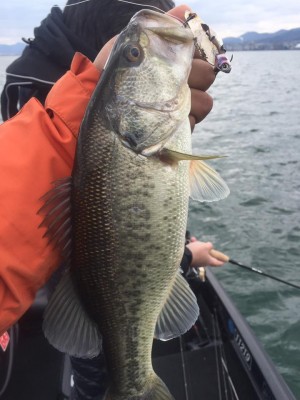 hideup 永野総一朗 ブログ写真 2017/03/17