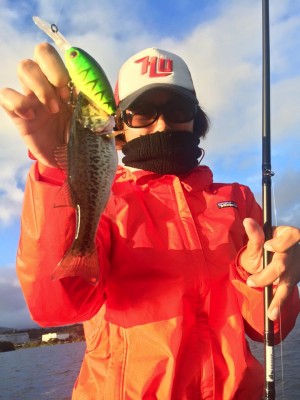 hideup 永野総一朗 ブログ写真 2015/11/15