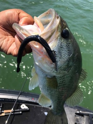 hideup 永野総一朗 ブログ写真 2017/06/20