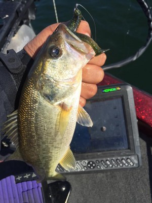 hideup 永野総一朗 ブログ写真 2015/10/18