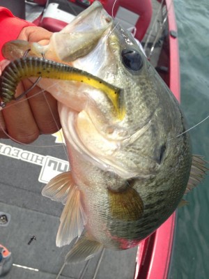 hideup 永野総一朗 ブログ写真 2015/05/24