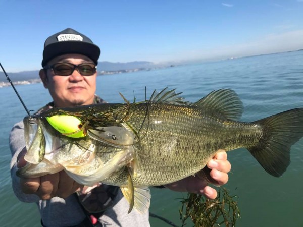 hideup 永野総一朗 ブログ写真 2017/11/01