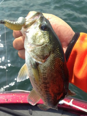 hideup 永野総一朗 ブログ写真 2015/06/07