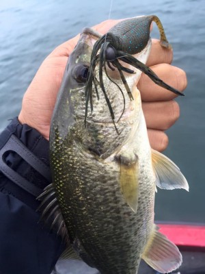 hideup 永野総一朗 ブログ写真 2015/11/09