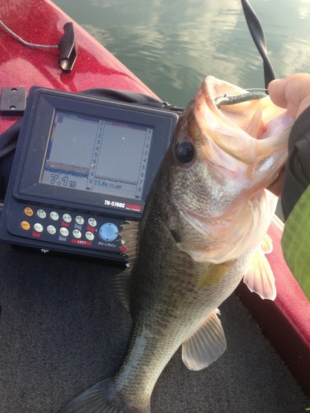 hideup 永野総一朗 ブログ写真 2013/11/07