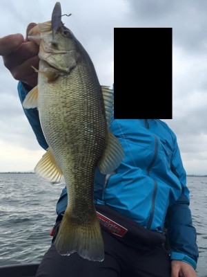 hideup 永野総一朗 ブログ写真 2016/04/03