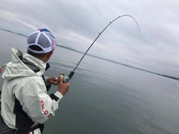 hideup 永野総一朗 ブログ写真 2017/06/08