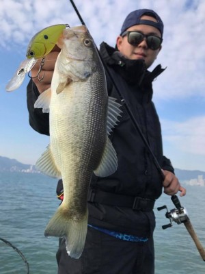 hideup 永野総一朗 ブログ写真 2017/11/03