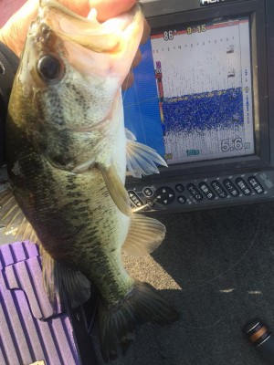 hideup 永野総一朗 ブログ写真 2015/10/21