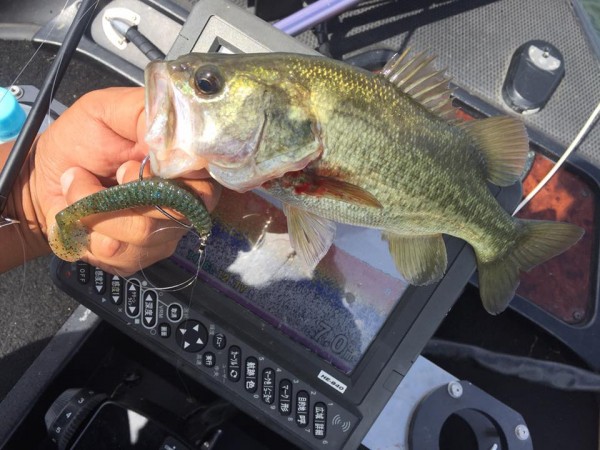 hideup 永野総一朗 ブログ写真 2016/10/08