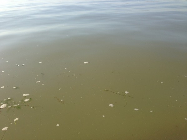 hideup 永野総一朗 ブログ写真 2013/09/18