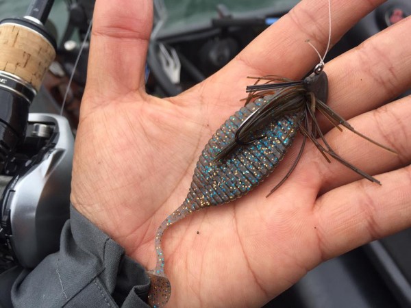 hideup 永野総一朗 ブログ写真 2017/04/09